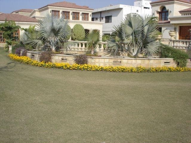 GardenPlus residential landscape with a broad lawn and planted borders