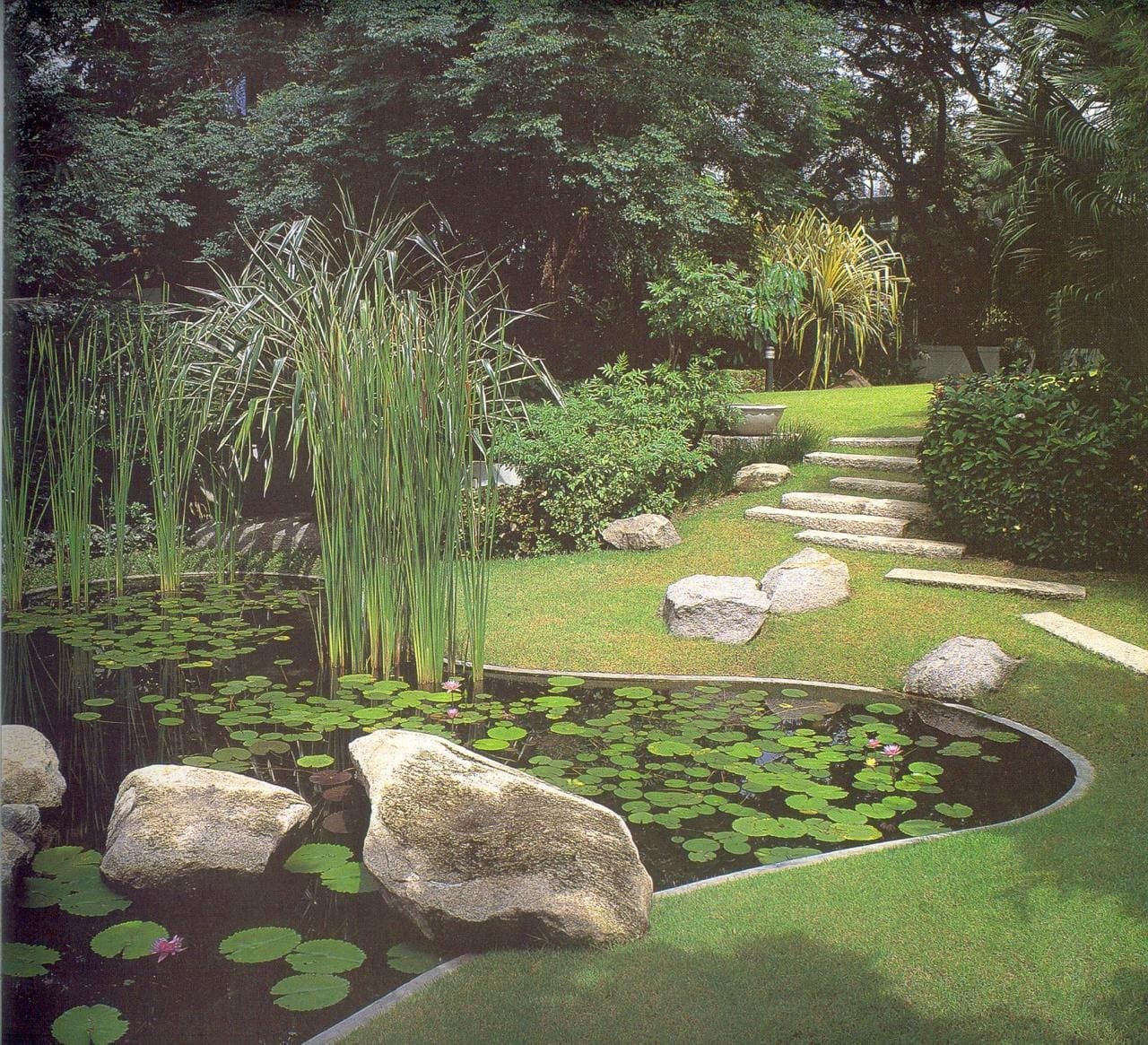 Garden pond with water plants and stepping stones