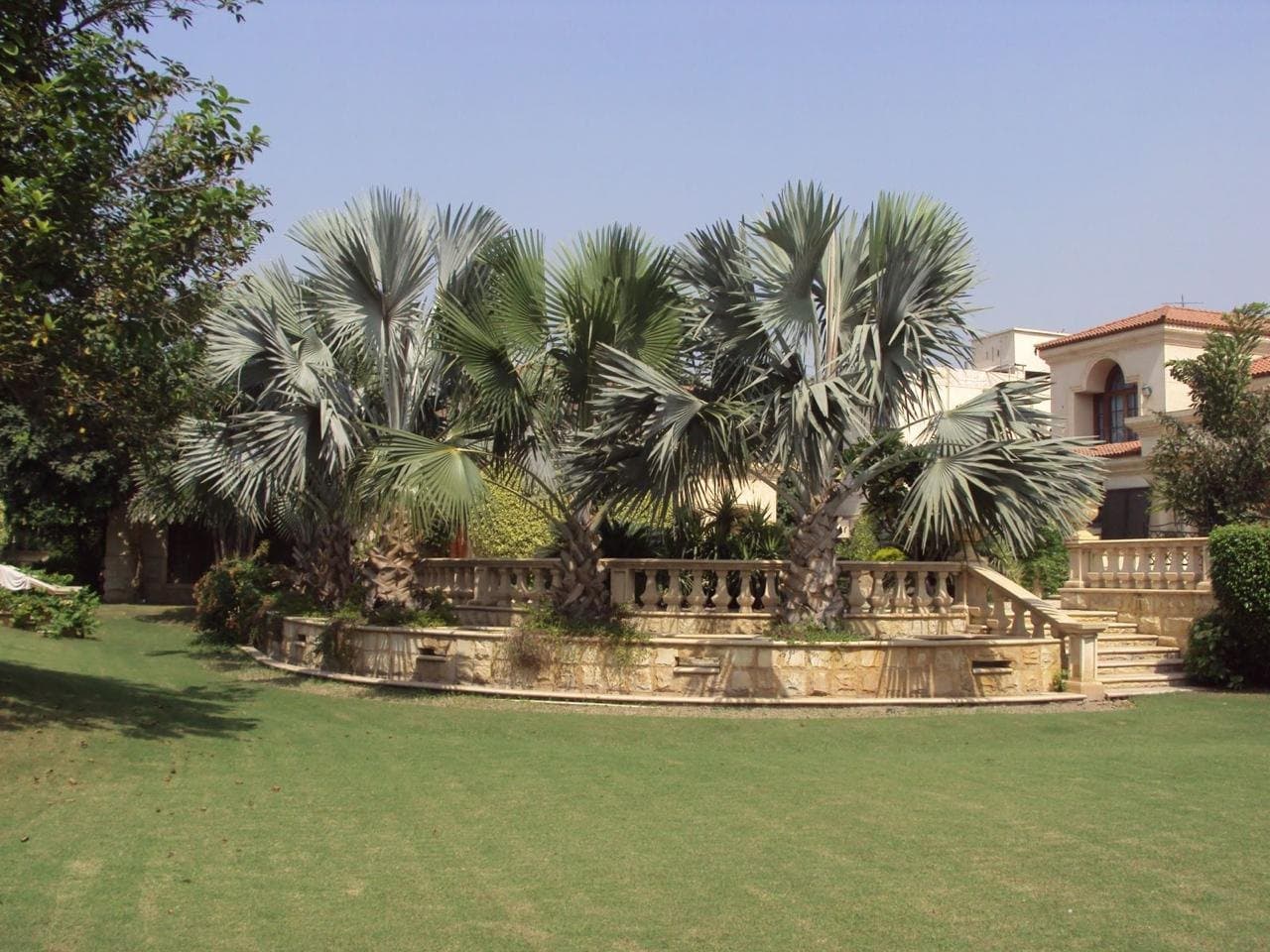 Healthy GardenPlus lawn and established planting supported by irrigation