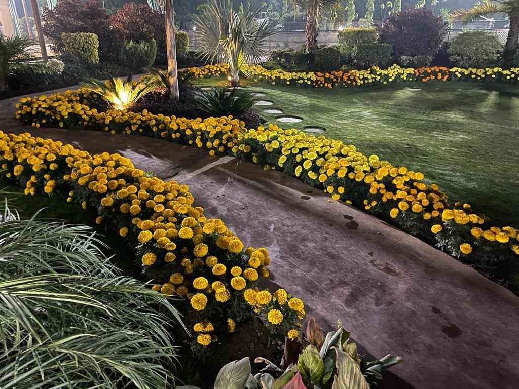 Maintained GardenPlus flower beds beside a healthy lawn