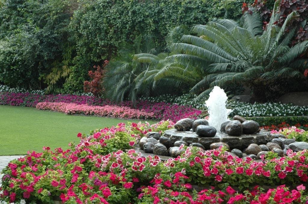 Completed GardenPlus landscape with lawn, planting and built garden features