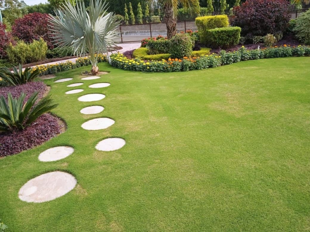 GardenPlus lawn edged with shrubs, palms and flowering plants