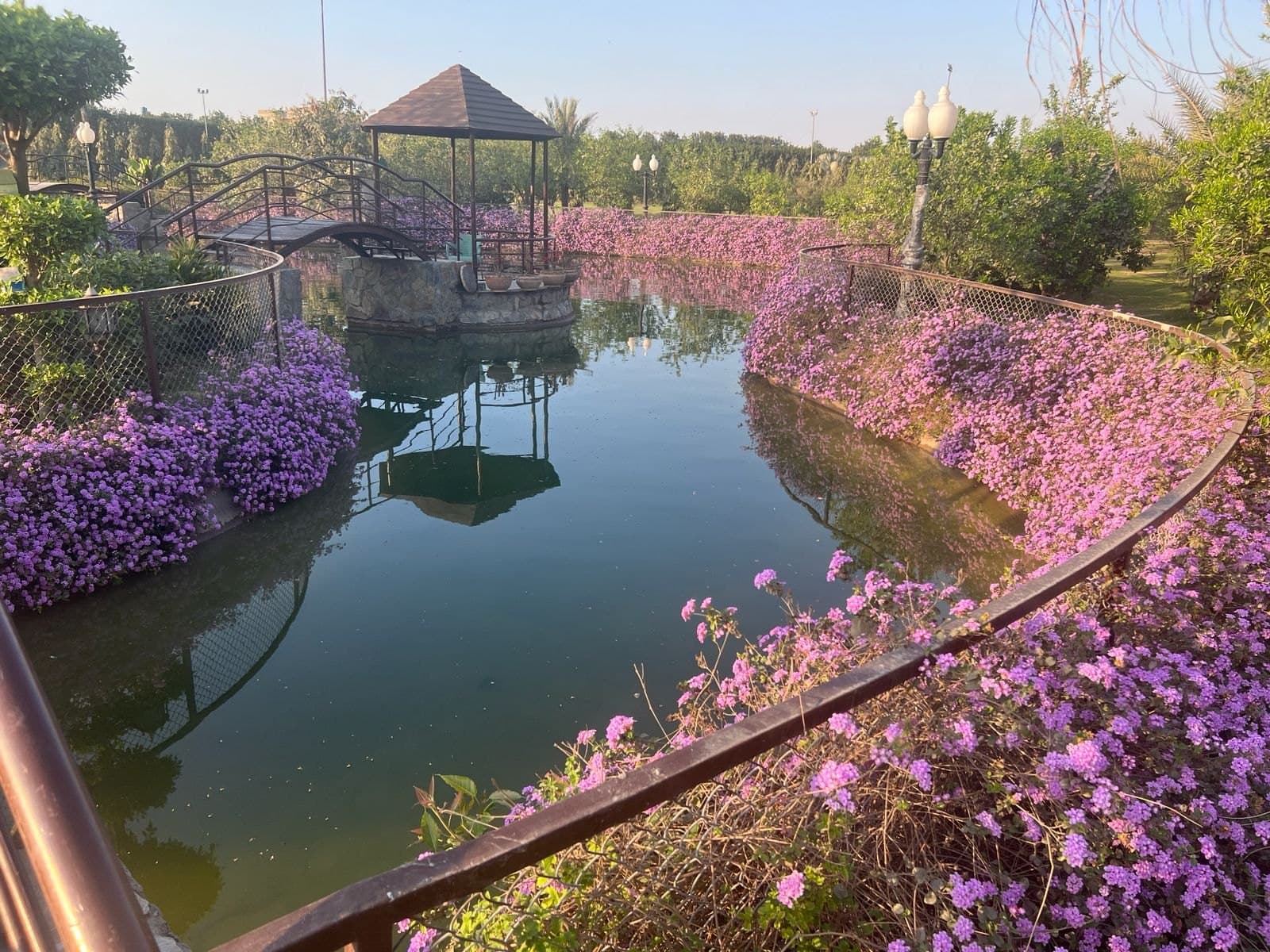 GardenPlus pond bordered by flowering ground cover and a garden bridge
