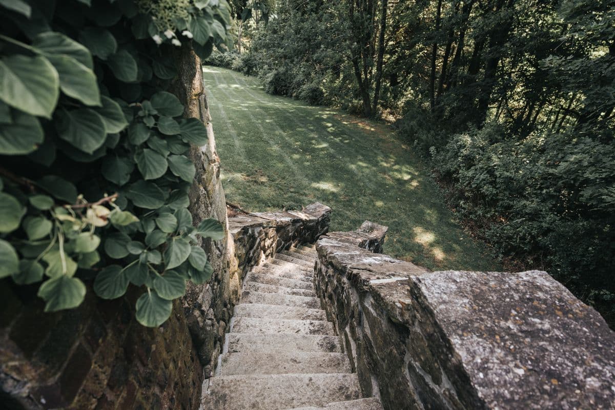 Stone garden steps bordered by planting