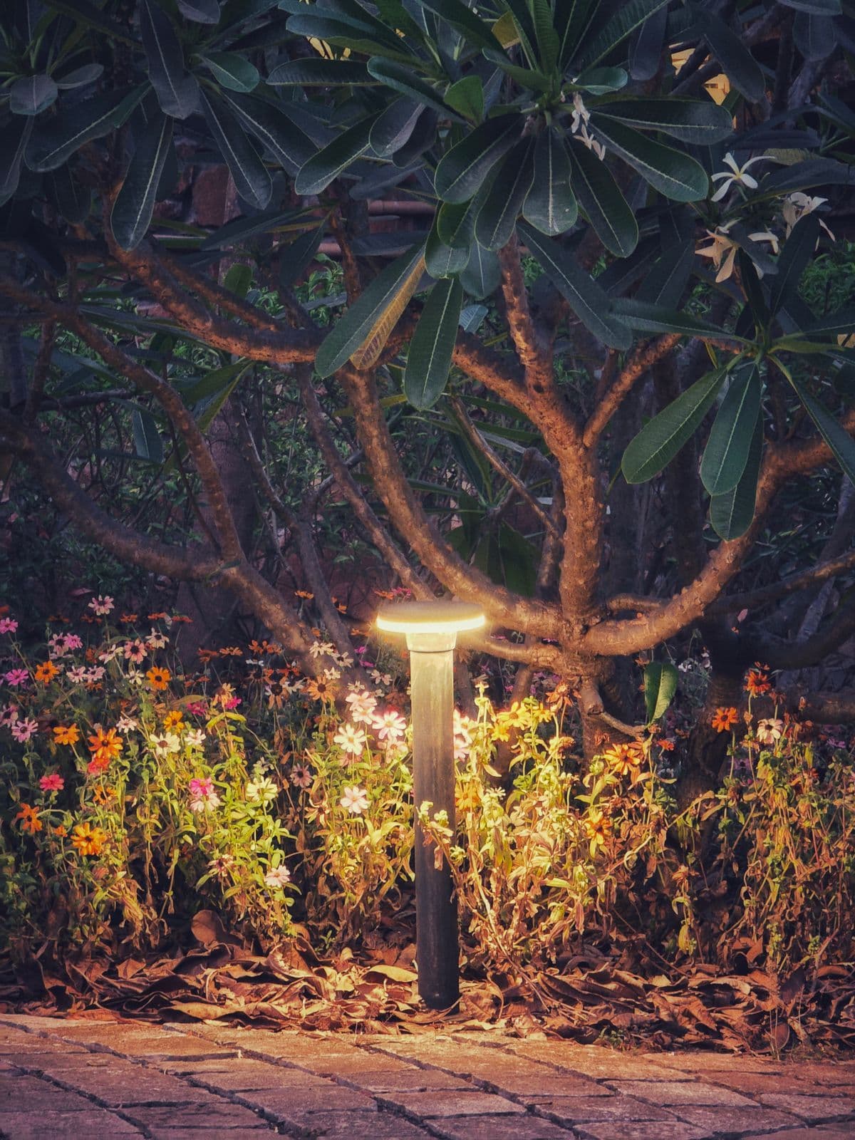 Garden light illuminating flowers and a tree beside a path