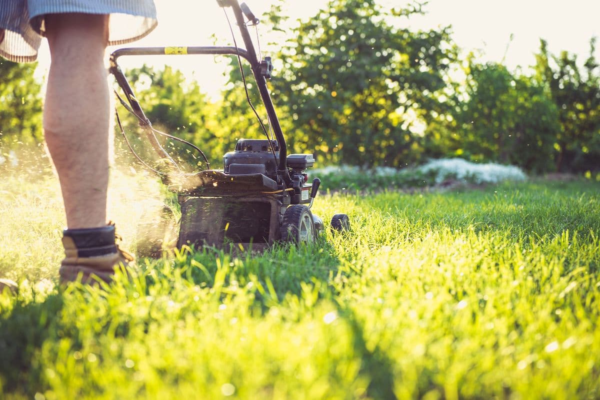 Lawn mower maintaining a grassed area